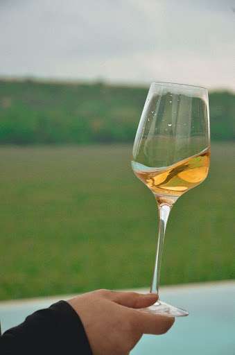 Glass of White Wine: Savoring the Crisp Flavor