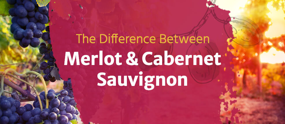Cabernet Sauvignon vs Merlot: Exploring Red Varieties