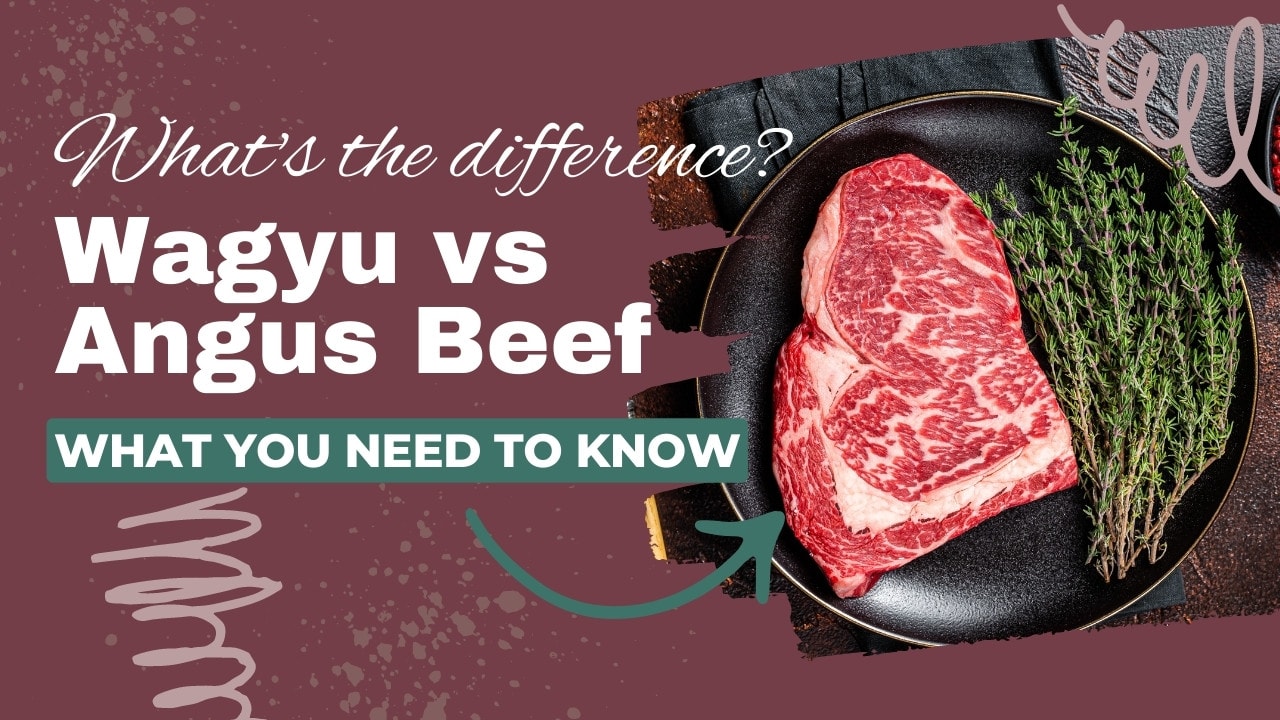 Wagyu vs Angus